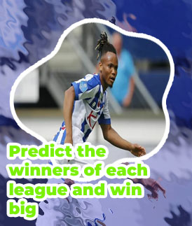 Allnigeriasoccer prediction