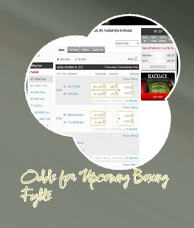 Bovada boxing odds