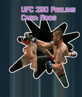 Next ufc fight odds